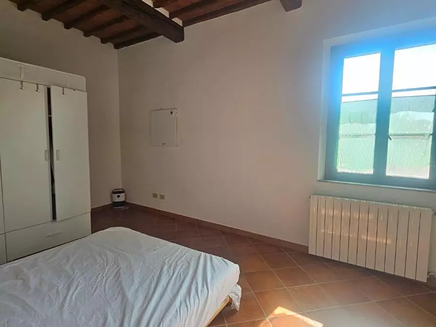 Immagine 17 di Appartamento in vendita  a Crespina Lorenzana
