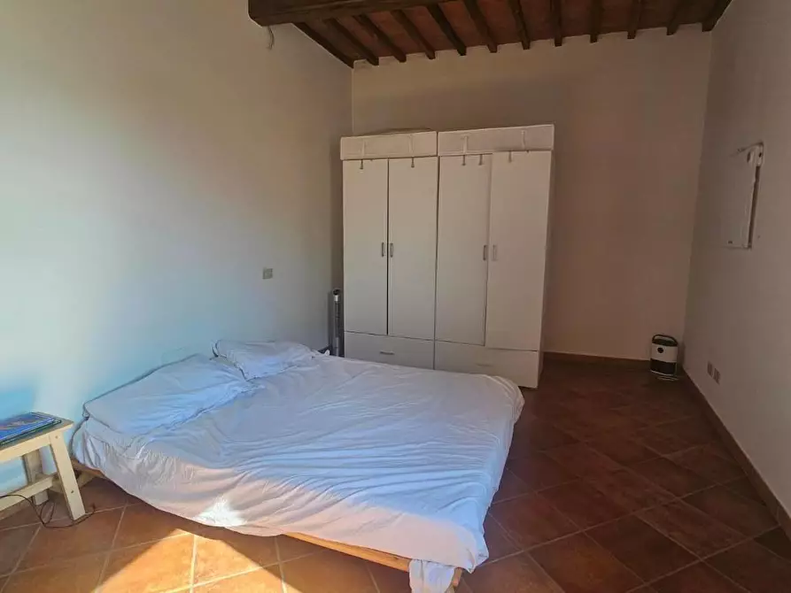 Immagine 15 di Appartamento in vendita  a Crespina Lorenzana
