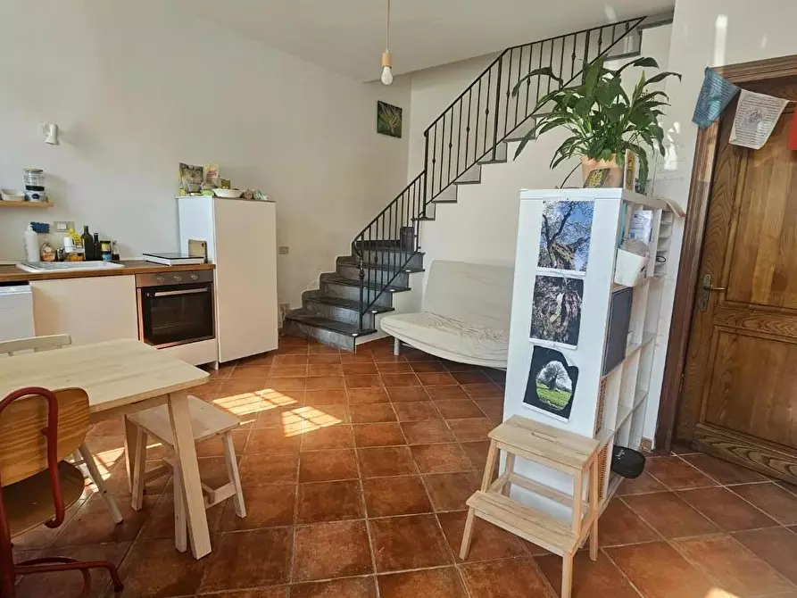 Immagine 4 di Appartamento in vendita  a Crespina Lorenzana