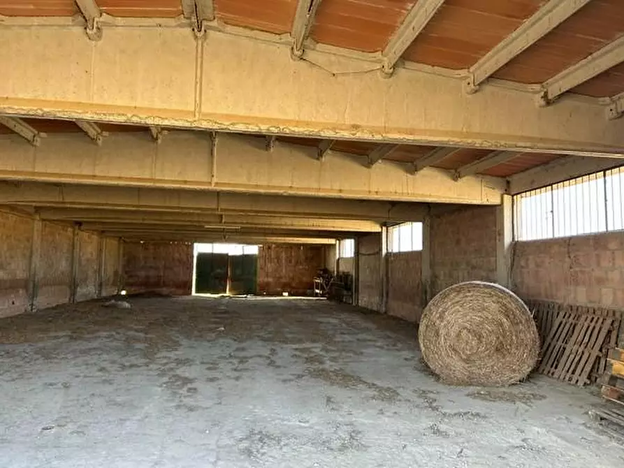 Immagine 11 di Palazzo in vendita  a Siena
