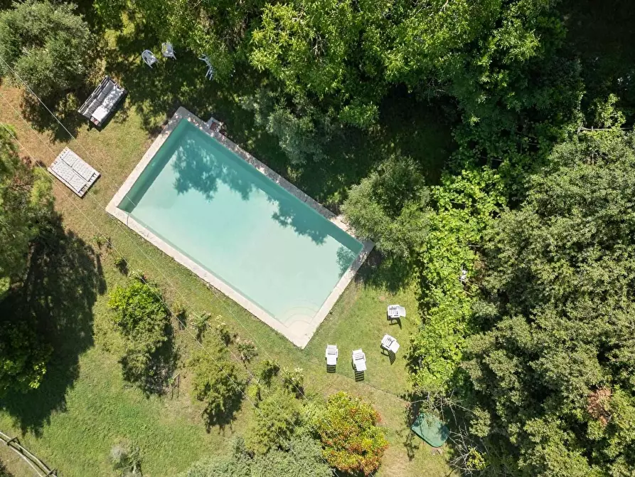 Immagine 19 di Casa colonica in vendita  a Castellina In Chianti