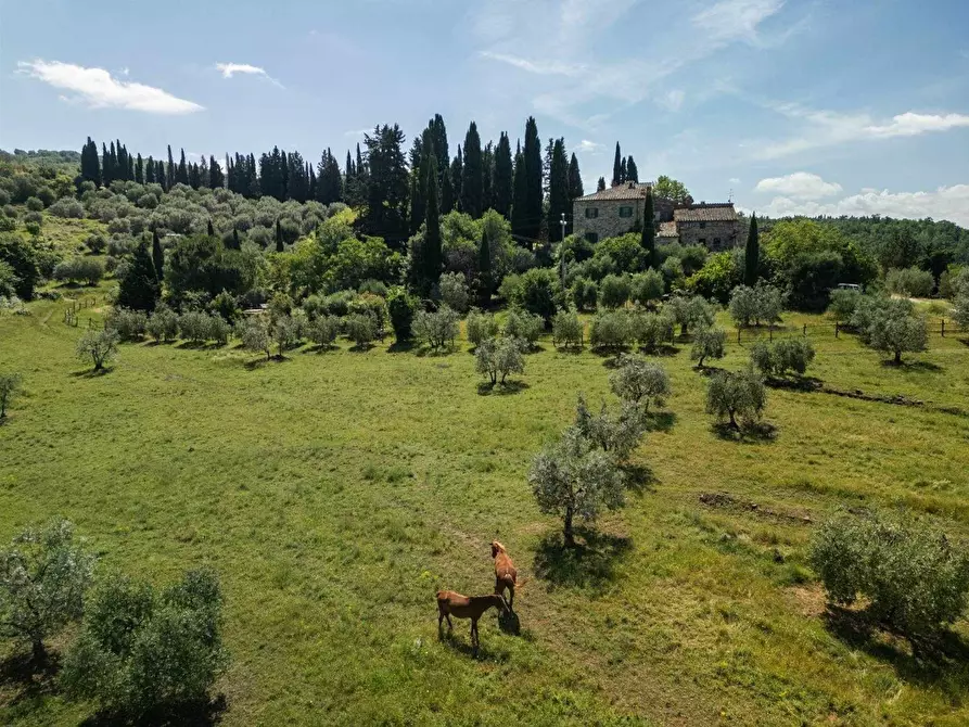 Immagine 12 di Casa colonica in vendita  a Castellina In Chianti
