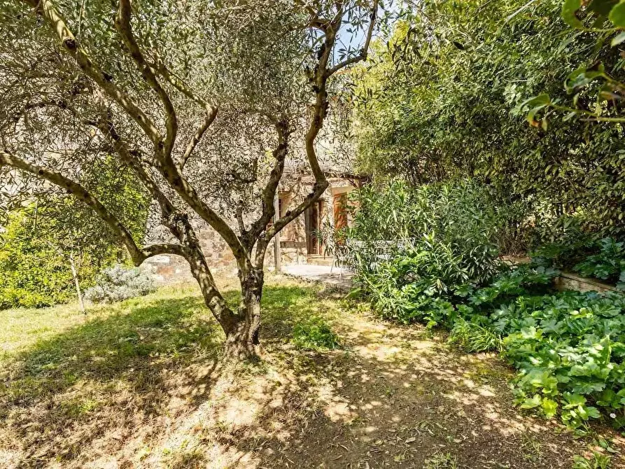 Immagine 37 di Casa colonica in vendita  a Castellina In Chianti