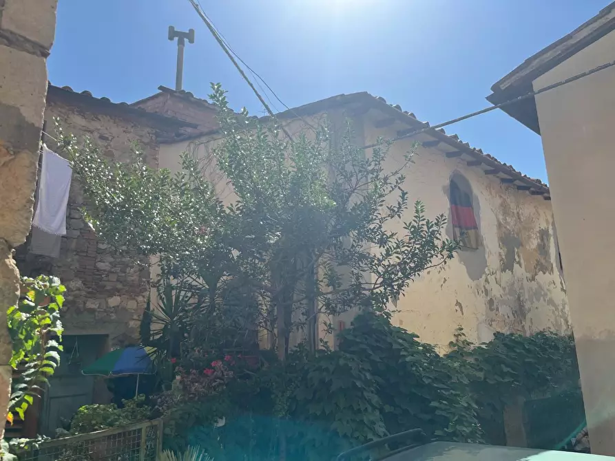 Immagine 19 di Rustico / casale in vendita  a Casciana Terme Lari