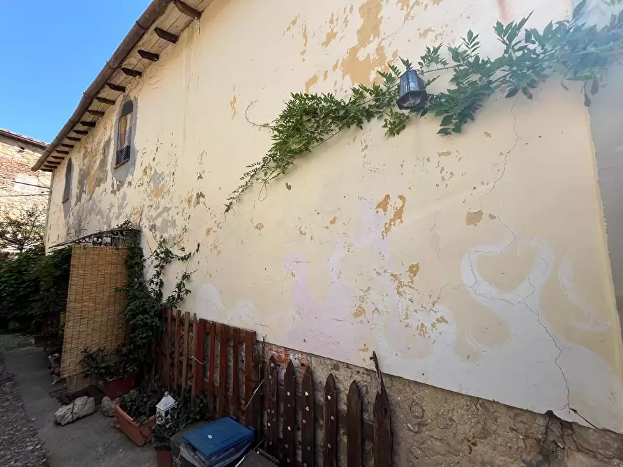 Immagine 18 di Rustico / casale in vendita  a Casciana Terme Lari