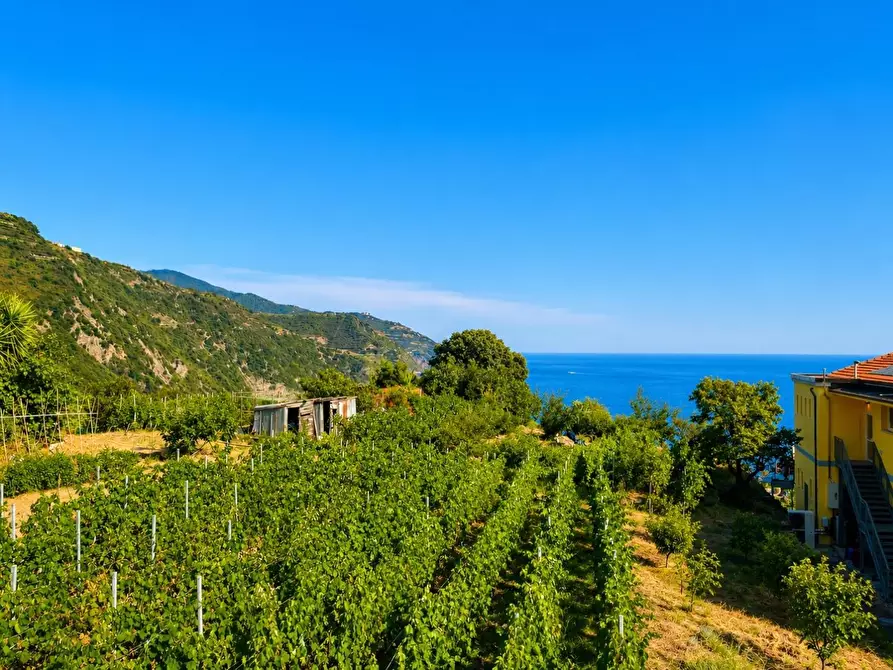 Immagine 22 di Appartamento in vendita  a Vernazza