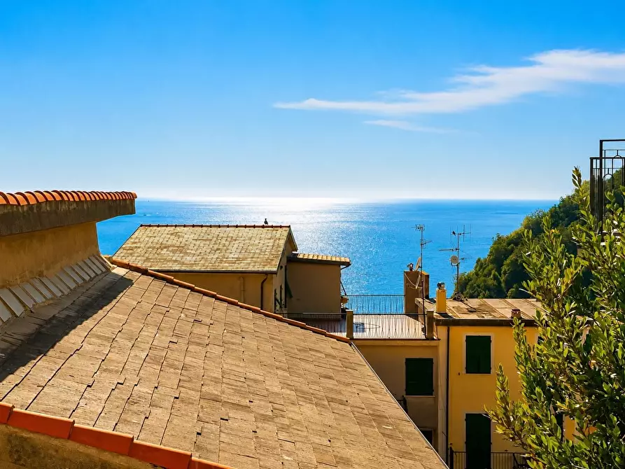 Immagine 6 di Appartamento in vendita  a Vernazza