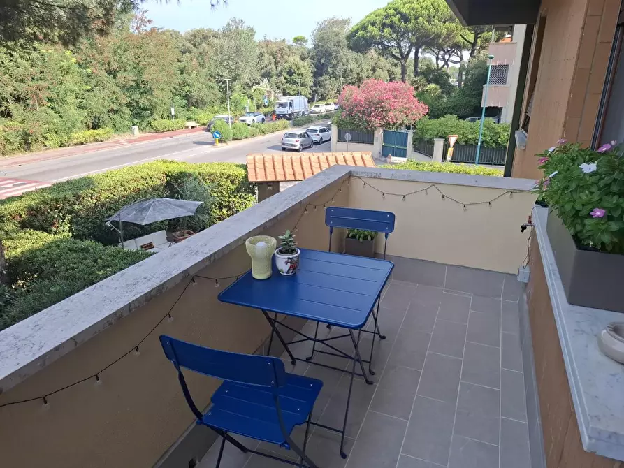 Immagine 26 di Appartamento in affitto  a Pisa