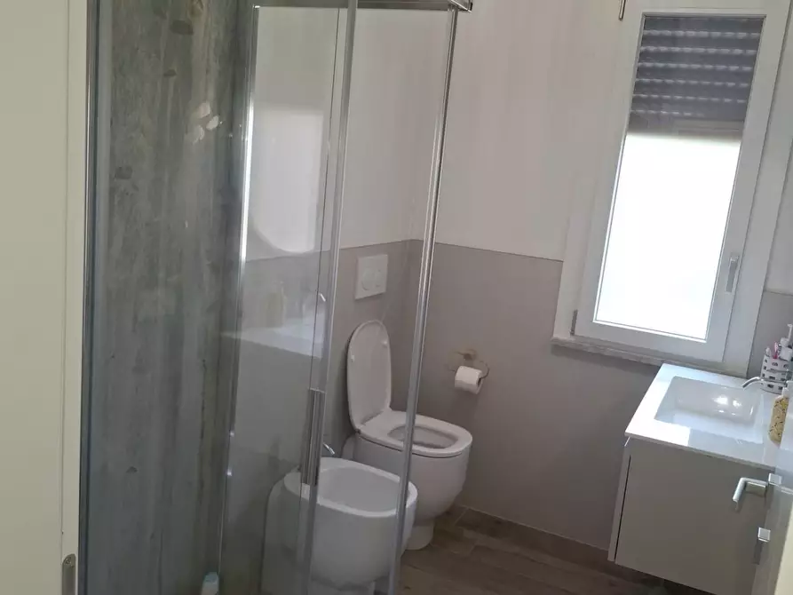 Immagine 16 di Appartamento in affitto  a Pisa