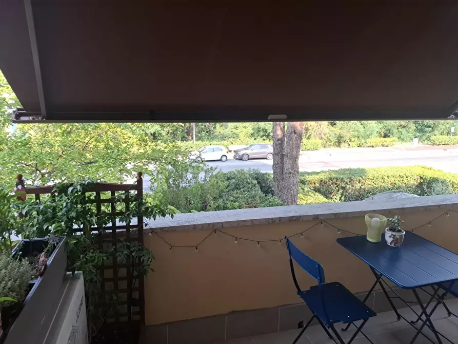Immagine 25 di Appartamento in affitto  a Pisa