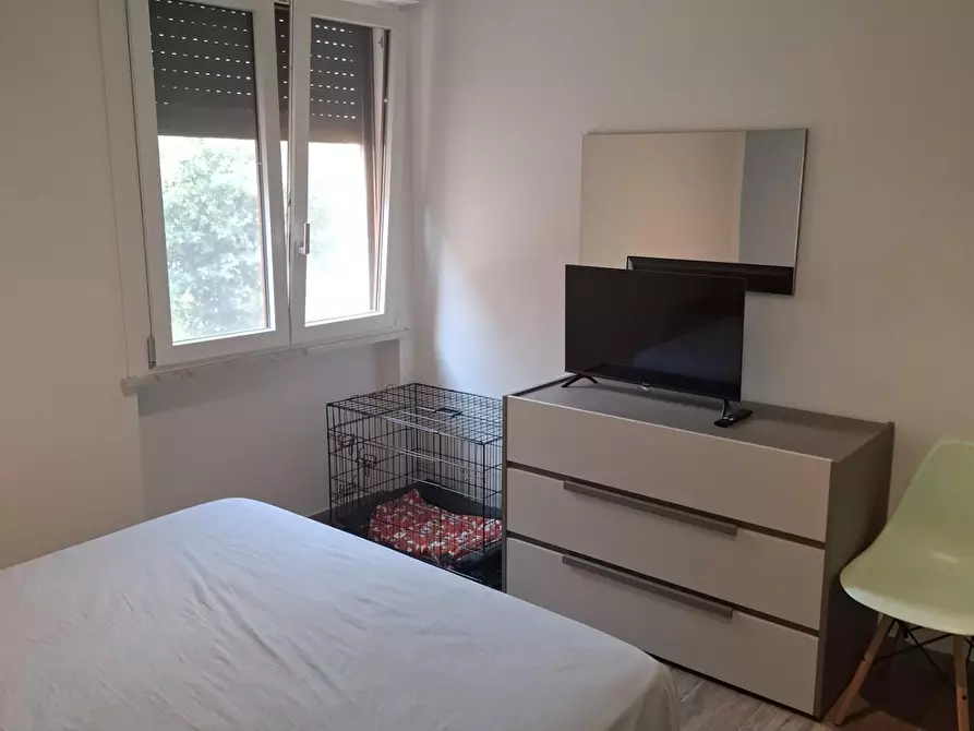 Immagine 31 di Appartamento in affitto  a Pisa