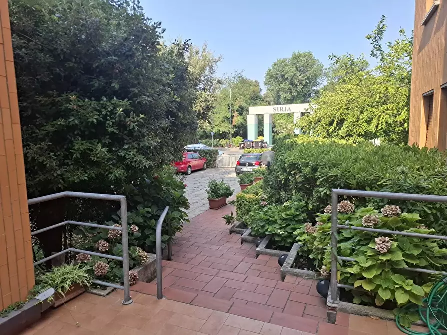 Immagine 6 di Appartamento in affitto  a Pisa