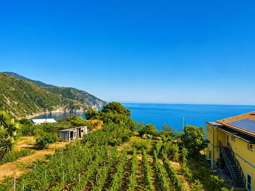 Immagine 16 di Appartamento in vendita  a Vernazza