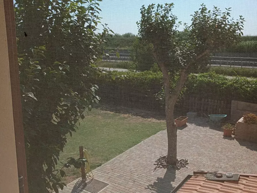 Immagine 14 di Appartamento in vendita  a Campiglia Marittima