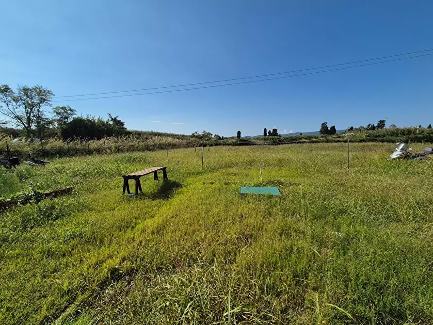 Immagine 3 di Appartamento in vendita  a Campiglia Marittima