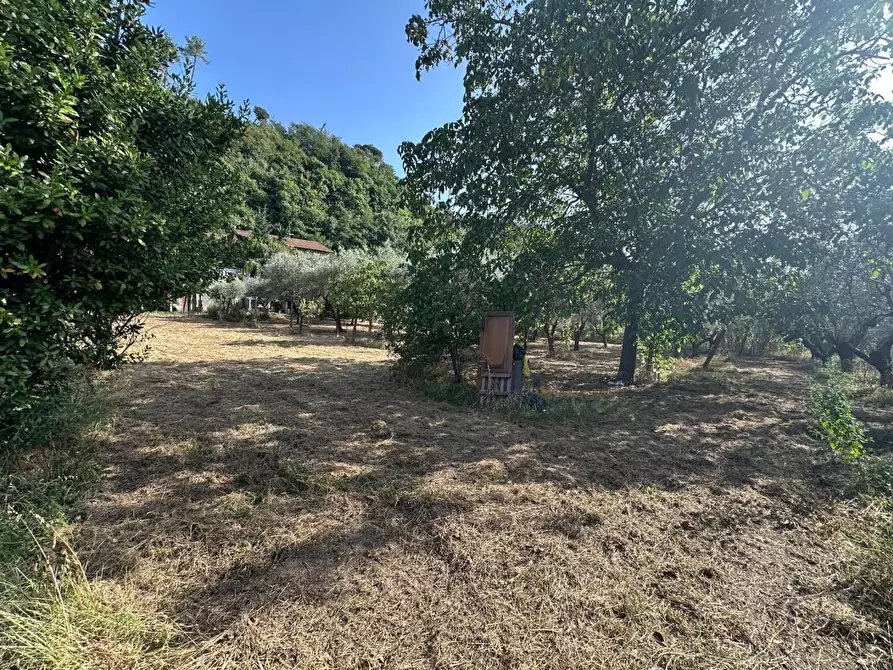 Immagine 5 di Terreno residenziale in vendita  a Ortonovo