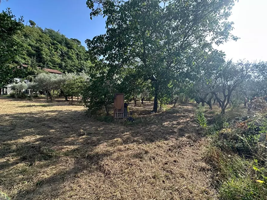 Immagine 6 di Terreno residenziale in vendita  a Ortonovo