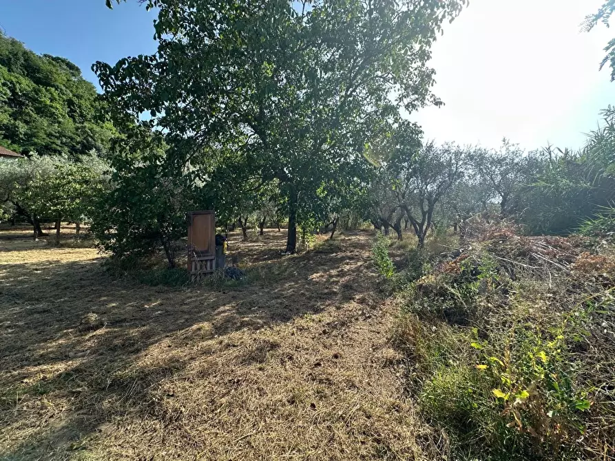 Immagine 4 di Terreno residenziale in vendita  a Ortonovo