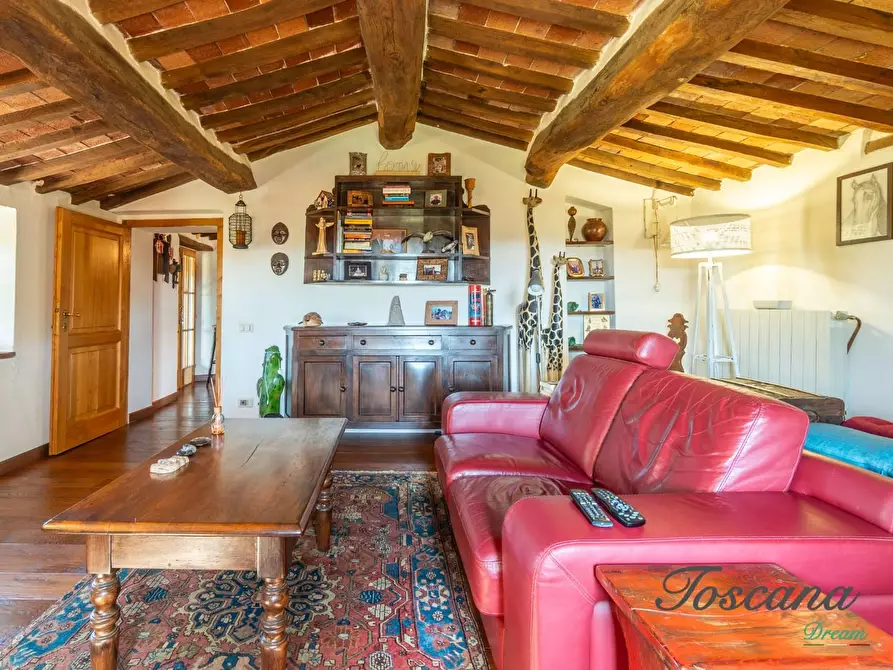Immagine 32 di Casa colonica in vendita  a Massa Marittima