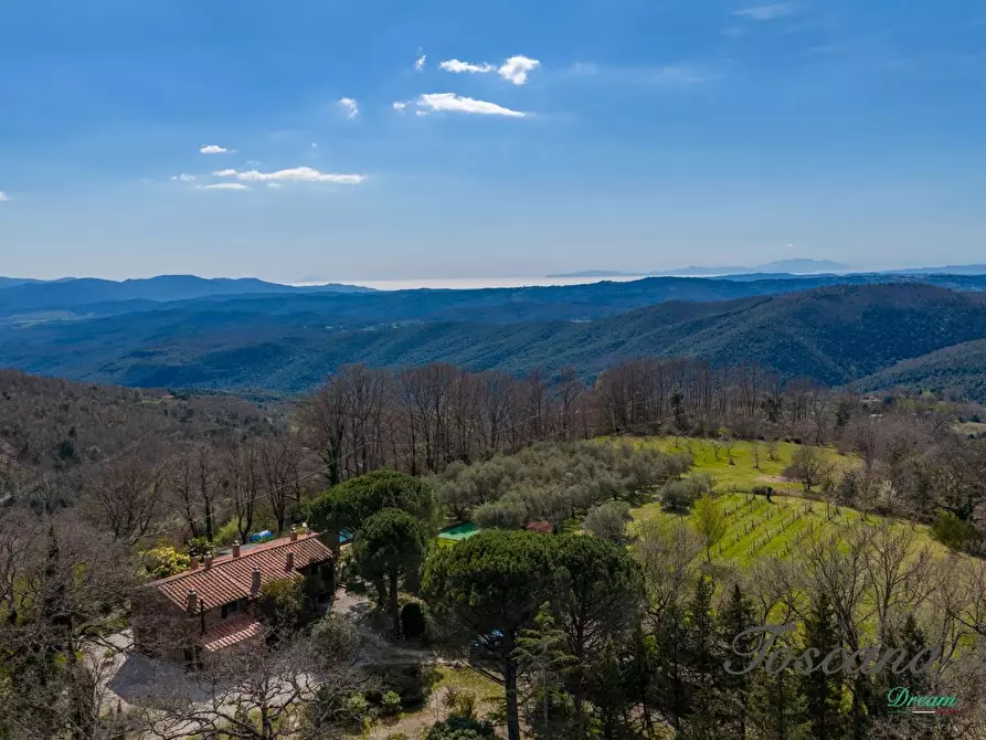 Immagine 11 di Casa colonica in vendita  a Massa Marittima