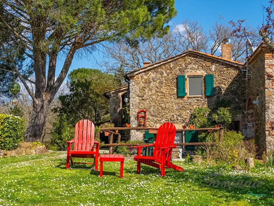 Immagine 15 di Casa colonica in vendita  a Massa Marittima