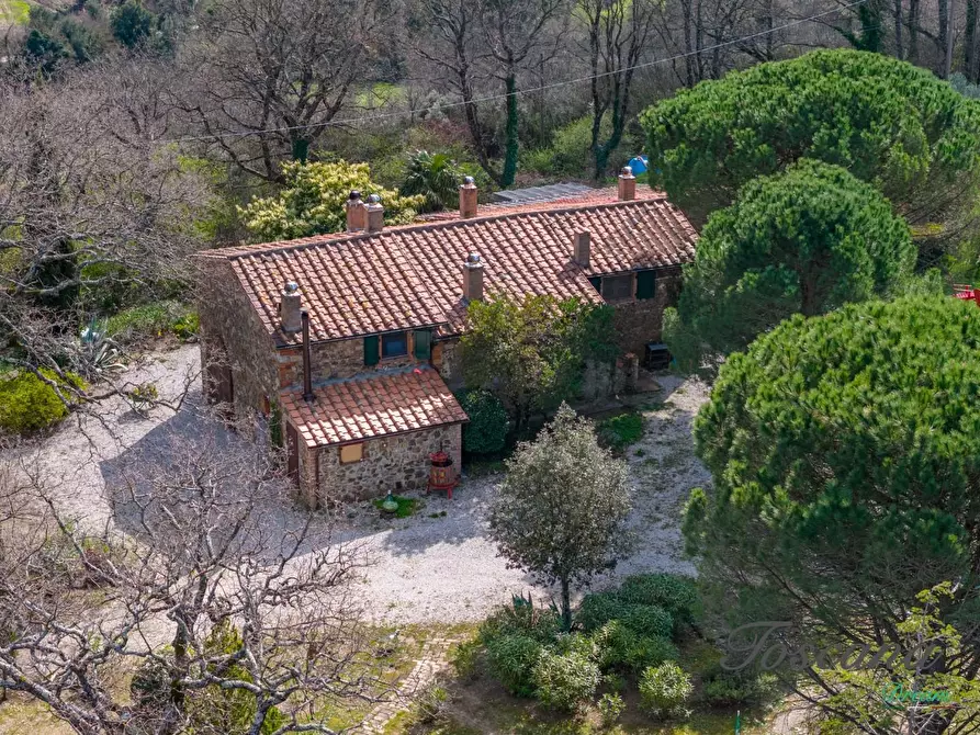 Immagine 13 di Casa colonica in vendita  a Massa Marittima