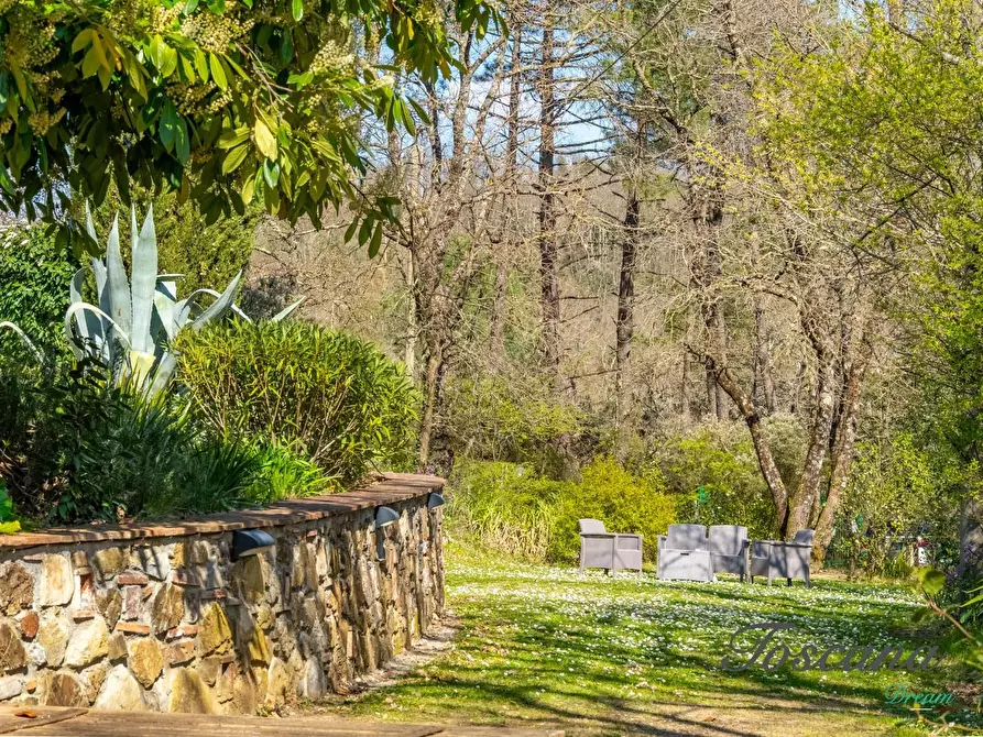 Immagine 77 di Casa colonica in vendita  a Massa Marittima