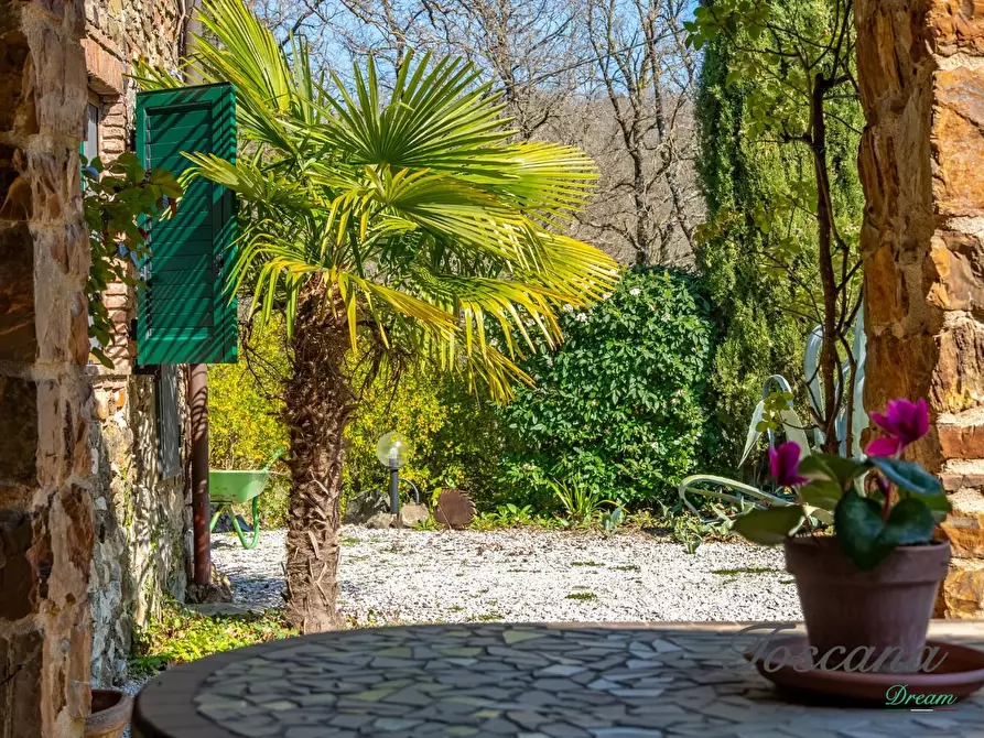 Immagine 52 di Casa colonica in vendita  a Massa Marittima