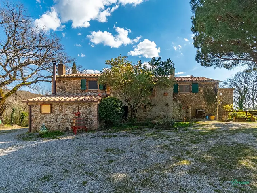 Immagine 5 di Casa colonica in vendita  a Massa Marittima
