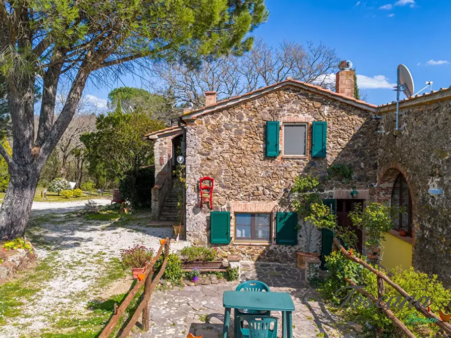 Immagine 63 di Casa colonica in vendita  a Massa Marittima