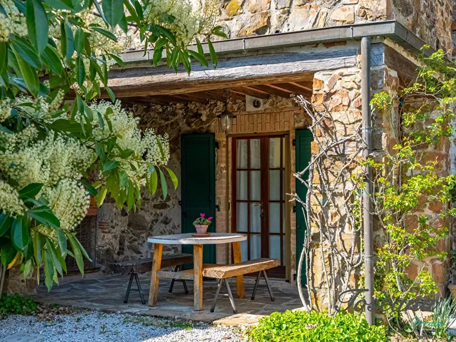 Immagine 50 di Casa colonica in vendita  a Massa Marittima
