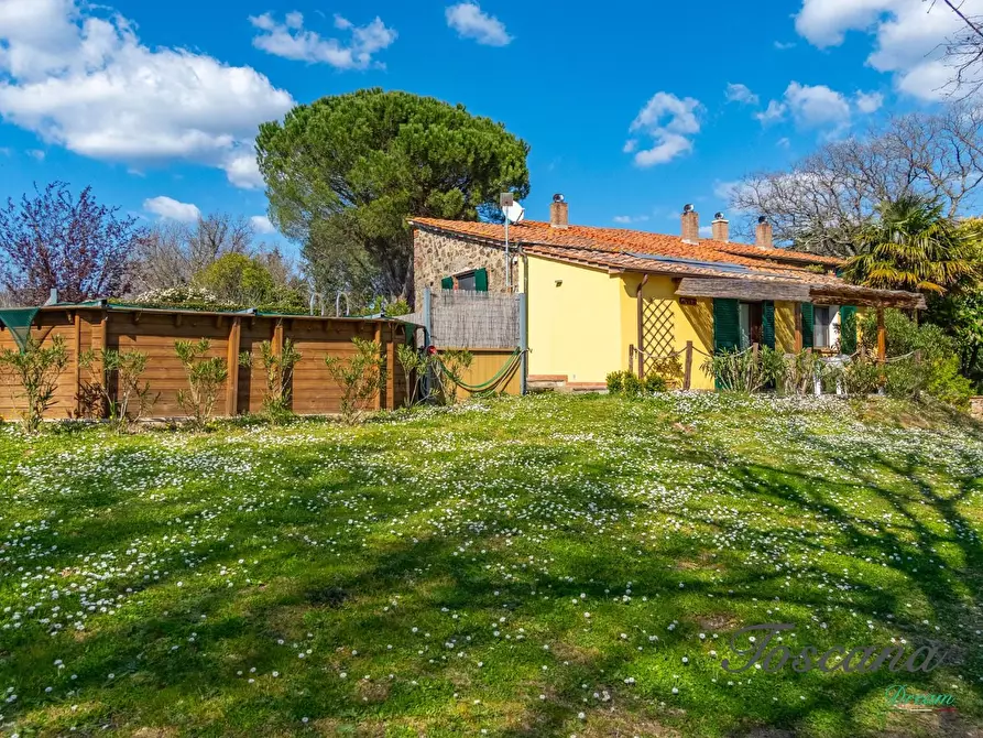 Immagine 39 di Casa colonica in vendita  a Massa Marittima