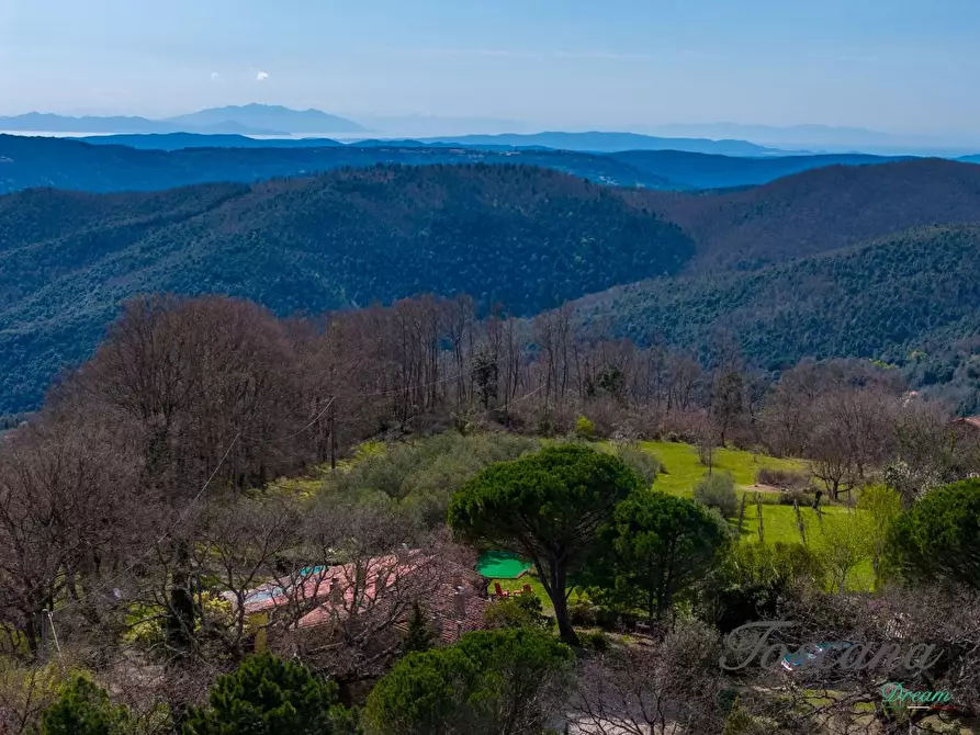 Immagine 82 di Casa colonica in vendita  a Massa Marittima