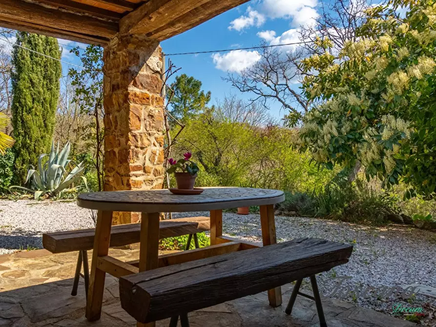 Immagine 51 di Casa colonica in vendita  a Massa Marittima