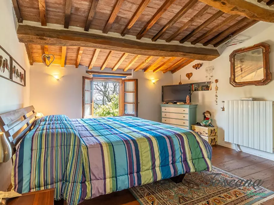 Immagine 36 di Casa colonica in vendita  a Massa Marittima