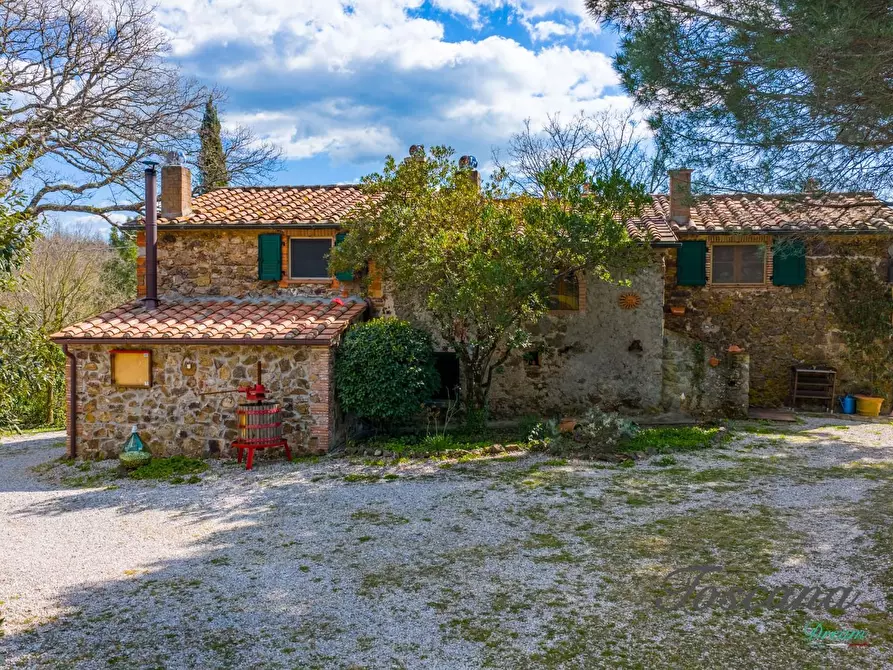 Immagine 9 di Casa colonica in vendita  a Massa Marittima