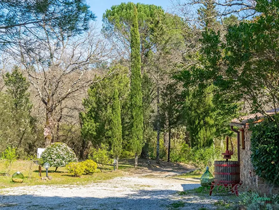 Immagine 78 di Casa colonica in vendita  a Massa Marittima
