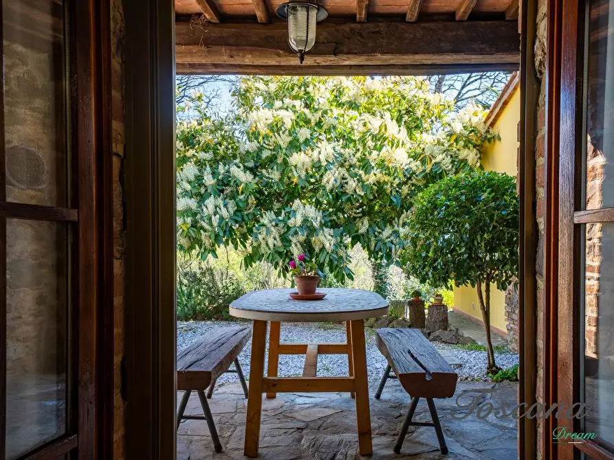 Immagine 57 di Casa colonica in vendita  a Massa Marittima