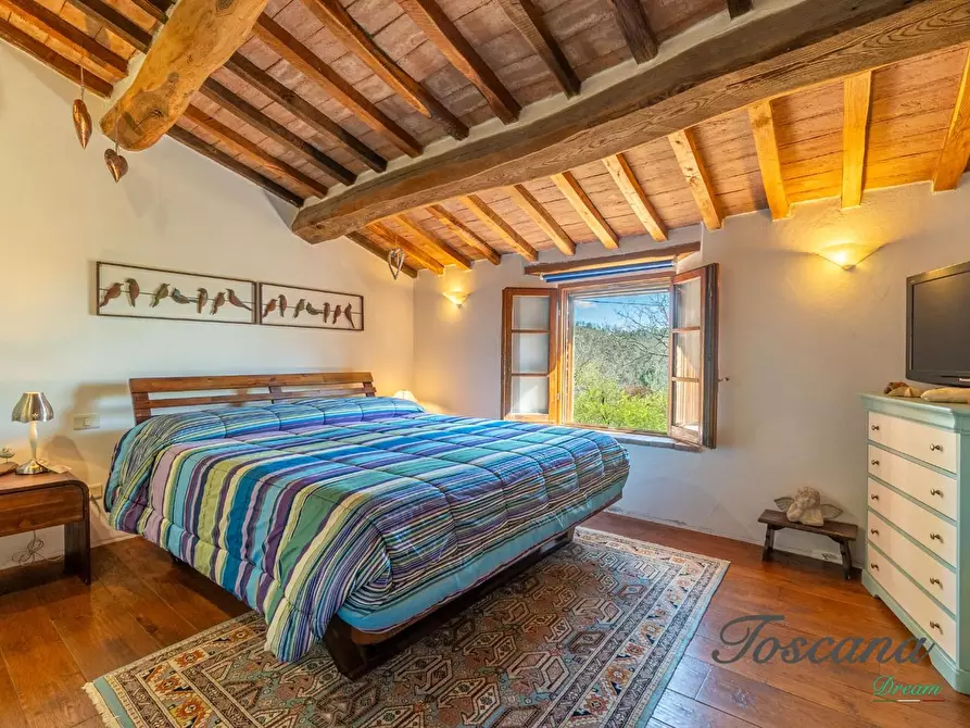 Immagine 34 di Casa colonica in vendita  a Massa Marittima