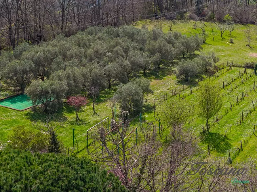 Immagine 14 di Casa colonica in vendita  a Massa Marittima