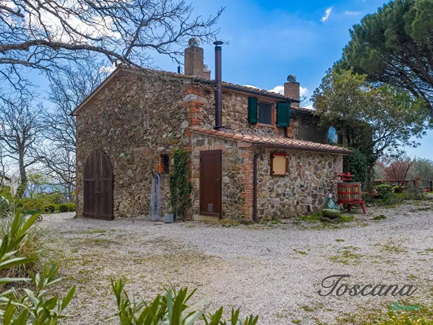 Immagine 6 di Casa colonica in vendita  a Massa Marittima