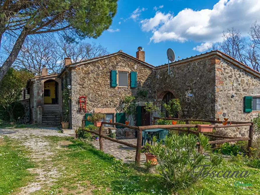 Immagine 62 di Casa colonica in vendita  a Massa Marittima