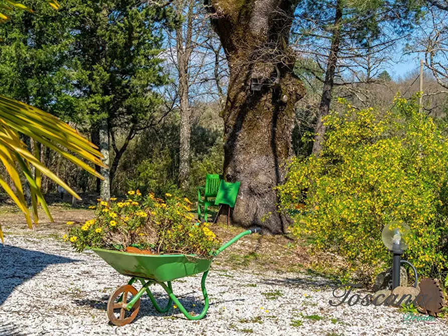 Immagine 79 di Casa colonica in vendita  a Massa Marittima