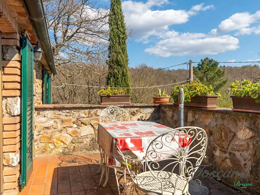Immagine 29 di Casa colonica in vendita  a Massa Marittima