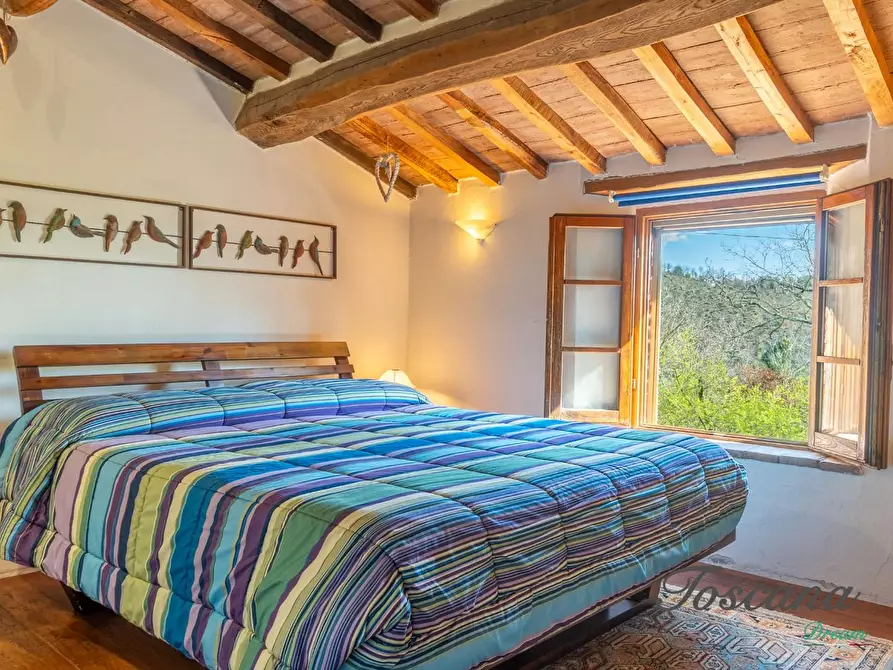Immagine 33 di Casa colonica in vendita  a Massa Marittima