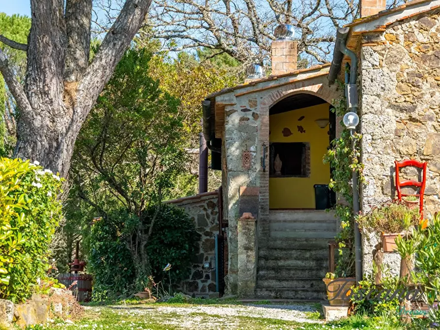 Immagine 4 di Casa colonica in vendita  a Massa Marittima