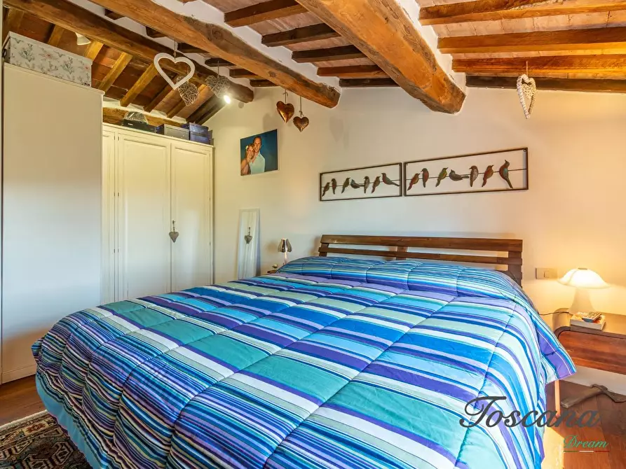 Immagine 35 di Casa colonica in vendita  a Massa Marittima
