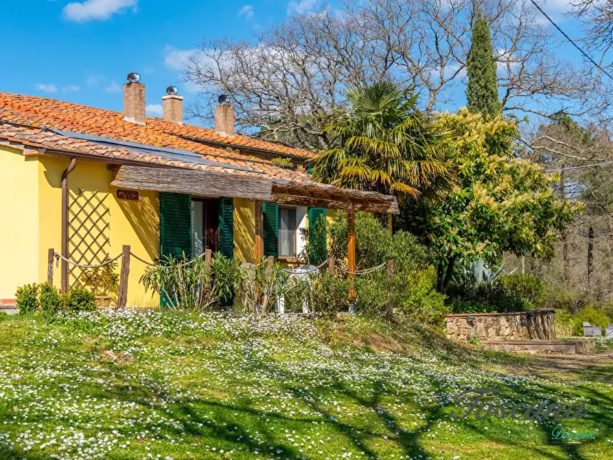 Immagine 19 di Casa colonica in vendita  a Massa Marittima