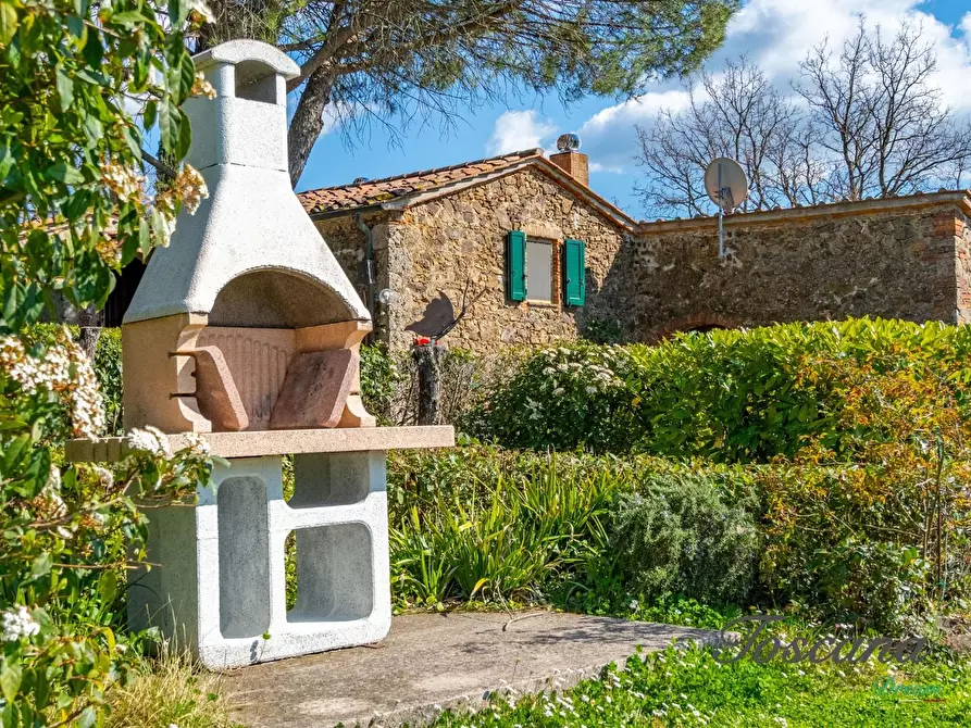 Immagine 74 di Casa colonica in vendita  a Massa Marittima