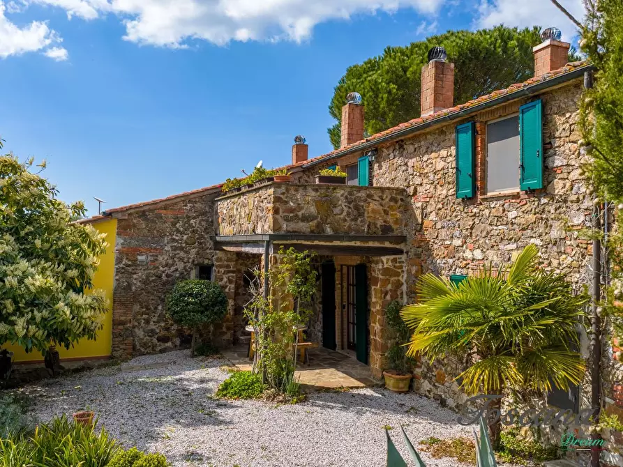 Immagine 1 di Casa colonica in vendita  a Massa Marittima